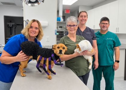 Rugby clinic aids veterinarian shortage